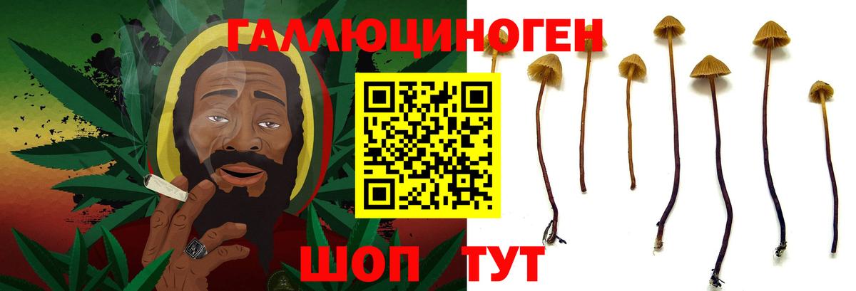 Каменск-Уральский  купить   Вход с VPN  Псилоцибиновые грибы GOLDEN TEACHER 